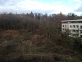 Dolní stavba - developer začal kácet stromy (26. 11. 2013)