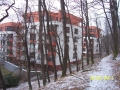 Nová zástavba