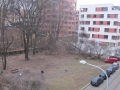 Zanedbaný park  (autor: Markéta Fléglová, březen 2013)