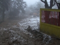 Demolice (10. 12. 2008)