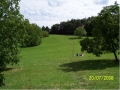 Park Šalamounka