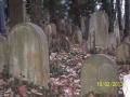 Starý Židovský hřbitov (10. 2. 2013)