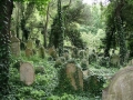 Starý židovský hřbitov (zdroj: mablung.rajce.idnes.cz)
