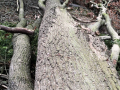 IMG_20210316_174551