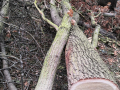 IMG_20210316_174610