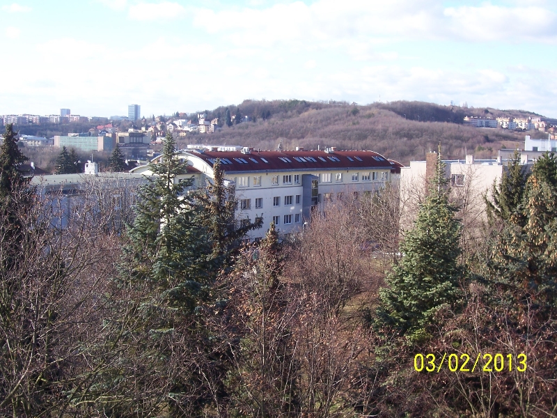 Vidoule z Malvazinek (autor: Drahomír Bárta, 3. 2. 2013)