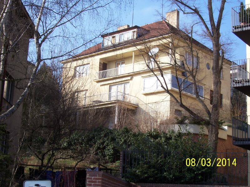 Jižní průčelí do zahrady - až tady vyniká kouzlo funkcionalistické architektury (autor: Drahomír Bárta, 8. 3. 2014)