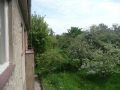 Pohled do rozkvetlé zahrady